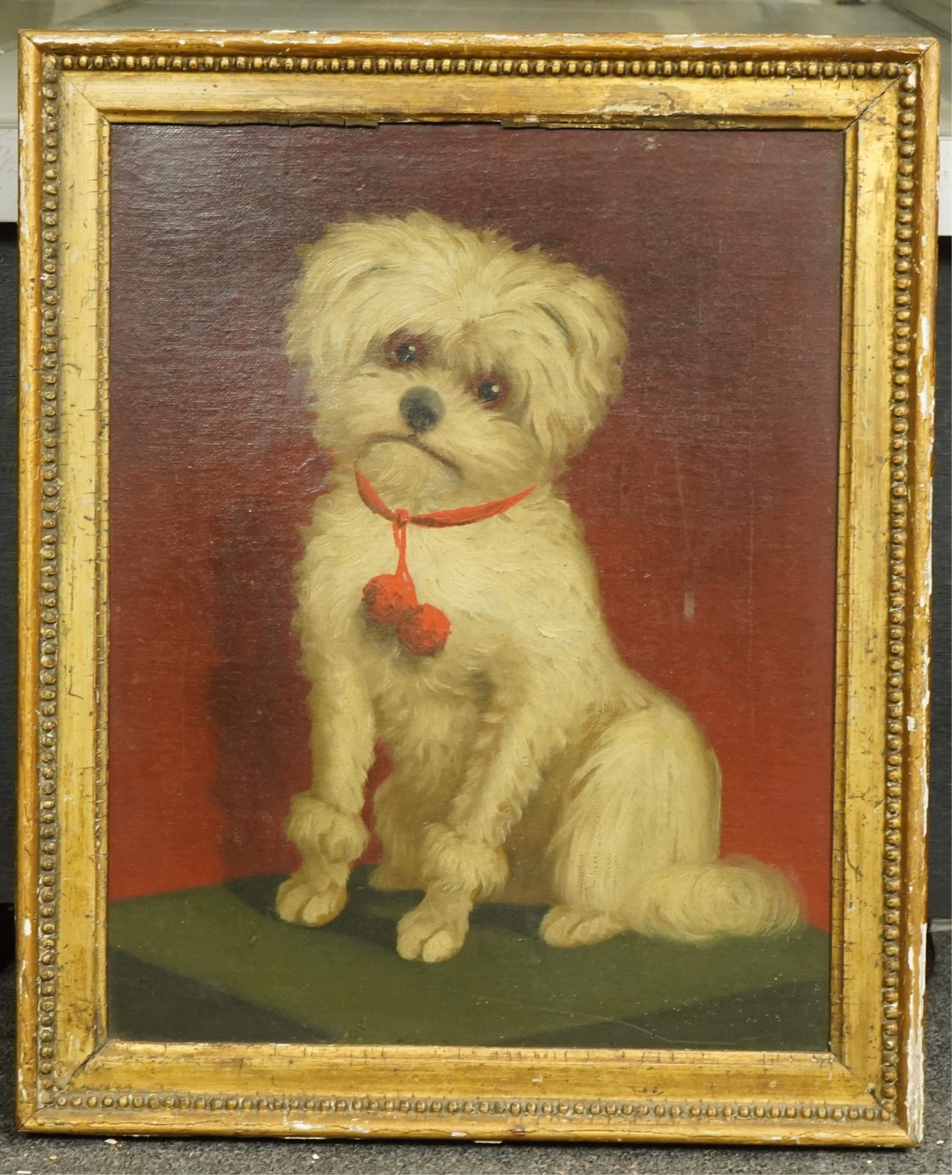 English School c.1840 , Portrait of a Maltese terrier, oil on canvas, 38 x 30cm